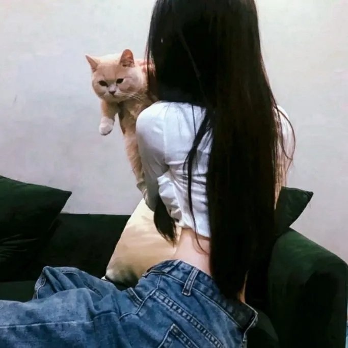 冒险兄弟第三季